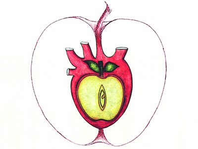 El verdadero corazón de la manzana